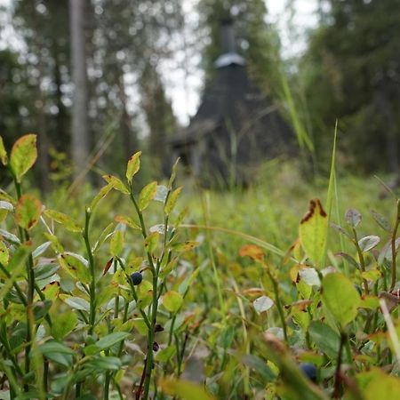 Вилла Raekkipirtti Луосто Экстерьер фото