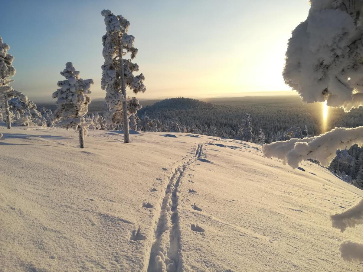 Вилла Raekkipirtti Луосто Экстерьер фото